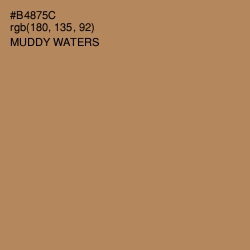 #B4875C - Muddy Waters Color Image
